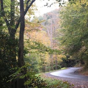 Meet your Posher, Suzanne